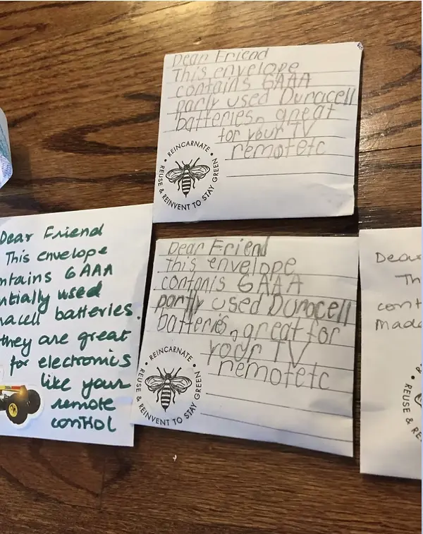 Battery Project Image 5